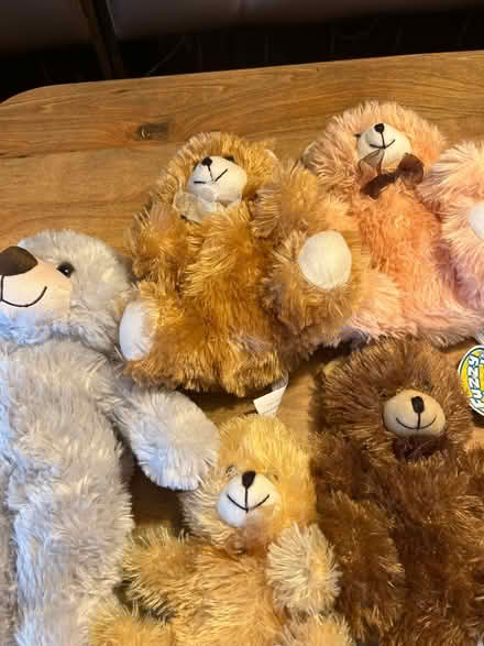 Photo of free Teddy Bear Stuffed Animals (Niles) #2