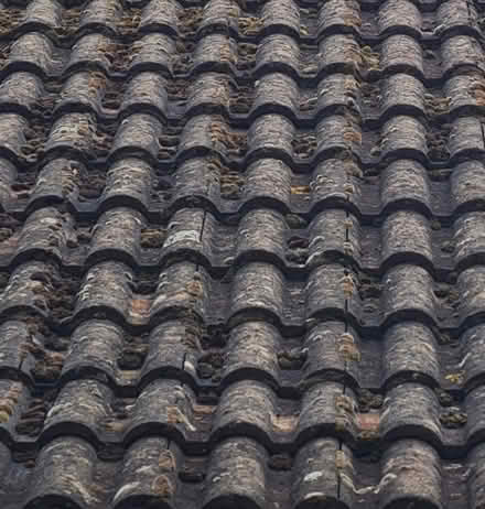 Photo of Marley Bold roll tile (Ditcheat BA4) #1