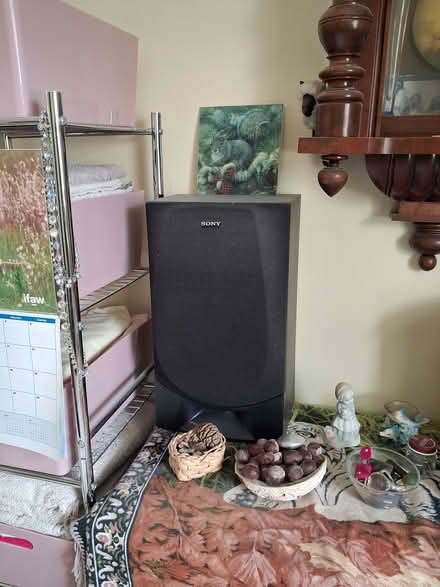 Photo of free speakers (Brownsover CV21) #1