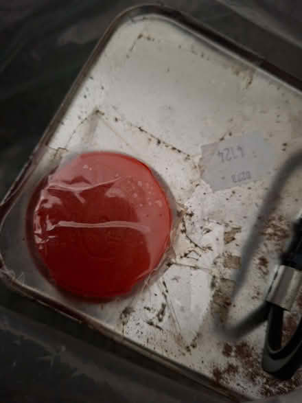 Photo of free Nitro-mors (Little Bloxwich WS3) #2