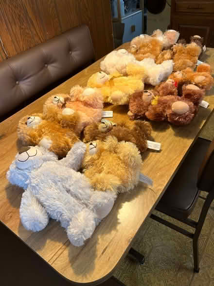 Photo of free Teddy Bear Stuffed Animals (Niles) #1