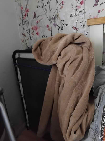 Photo of free Folding bed (Middleton M24) #1