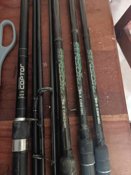Photo of free Carp fishing rods (St Nicholas SG1) #2