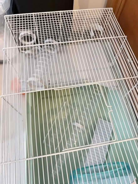 Photo of free Cage (Priory close HA4) #1