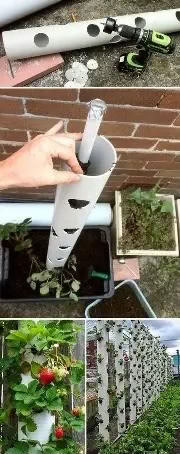 Photo of free Hanging Tower Planter (Strathfield) #3