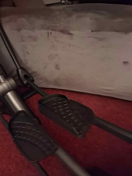 Photo of free nordic track (East End of Belleville) #4