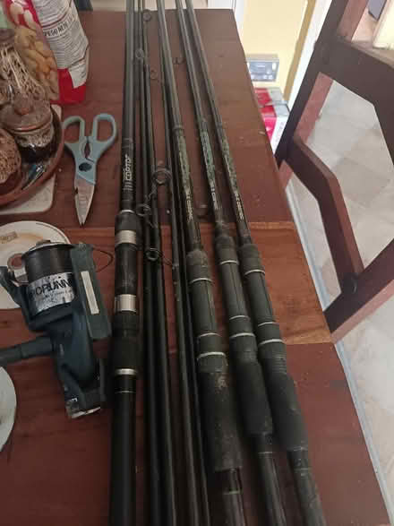 Photo of free Carp fishing rods (St Nicholas SG1) #1