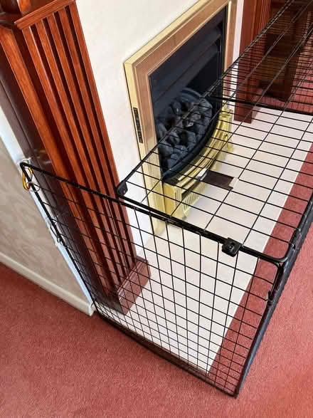 Photo of free Fire Guard (Bushey Heath WD23) #1