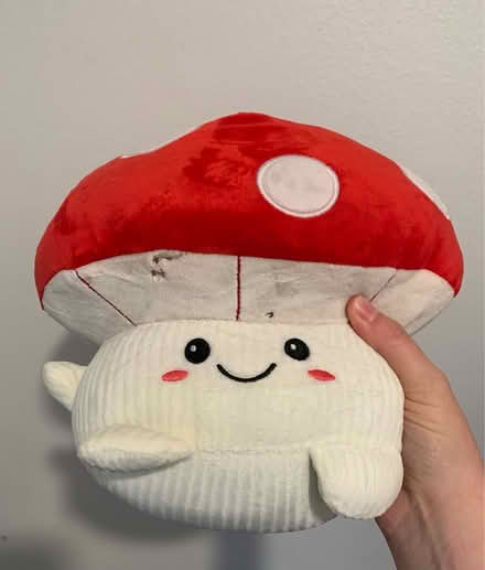 Photo of free Mushroom stuffie (Maple Leaf) #1