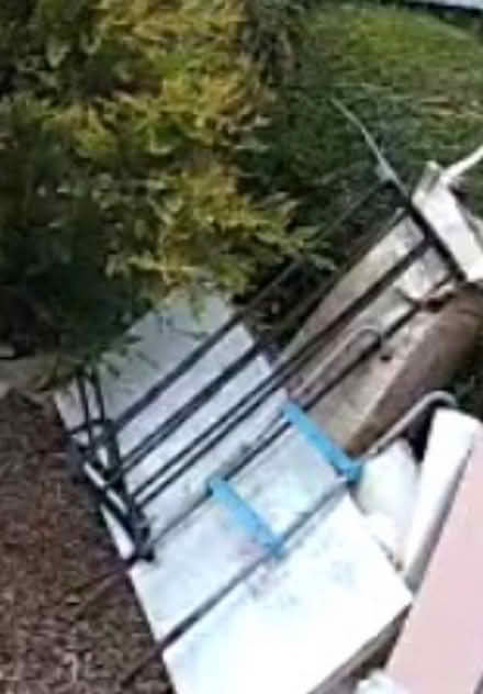 Photo of free Trampoline Ladders (Bonnyrigg EH19) #1