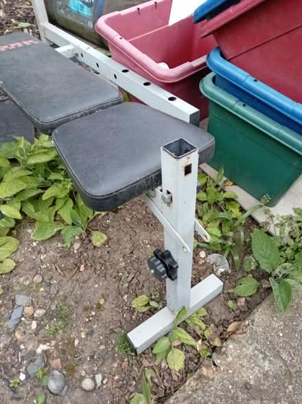 Photo of free Gym bench (Brentford) #2