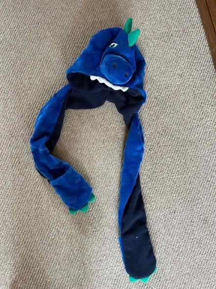 Photo of free B13 - kids dressing up dragon hat (kings heath B13) #1