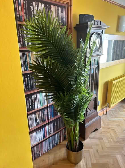 Photo of free Artificial plant (Salisbury, SP2) #2