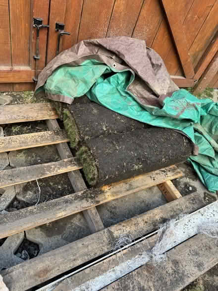 Photo of free Extra sod rolls (Mountain View Shoreline West) #1