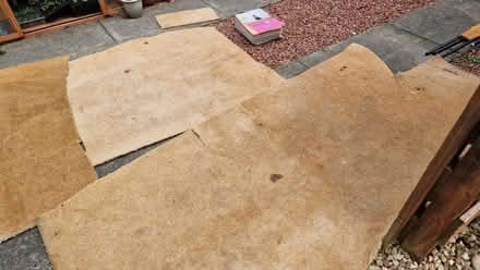Photo of free Carpet (Bridge of Allan FK9) #2