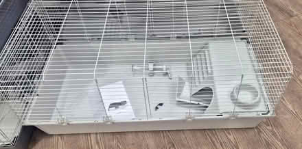 Photo of Indoor Guinea Pig/ Rabbit cage (Ewhurst GU6 7QH) #1