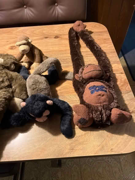 Photo of free Stuffed animal monkeys (Niles) #3