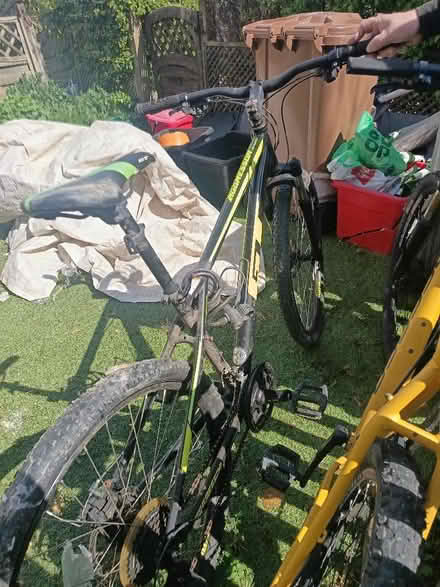 Photo of free Pushbike for a teenager. (St Nicholas SG1) #1