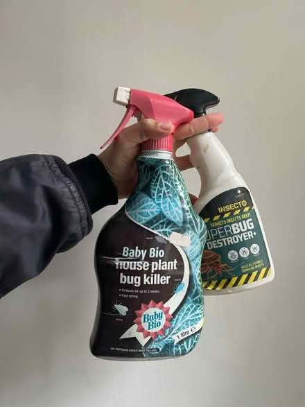 Photo of free bug sprays (E1) #1