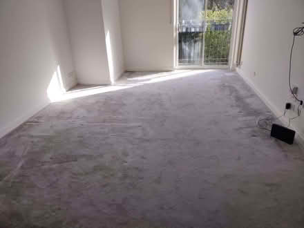 Photo of free Grey high pile carpet (Southfields SW19) #1
