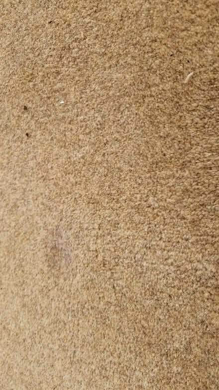 Photo of free Carpet (Bridge of Allan FK9) #3