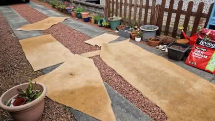 Photo of free Carpet (Bridge of Allan FK9) #1