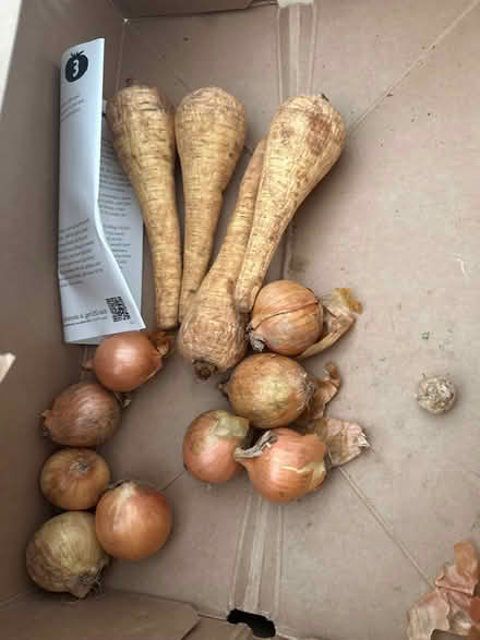 Photo of free Parsnips and onions (ha28qz) #1