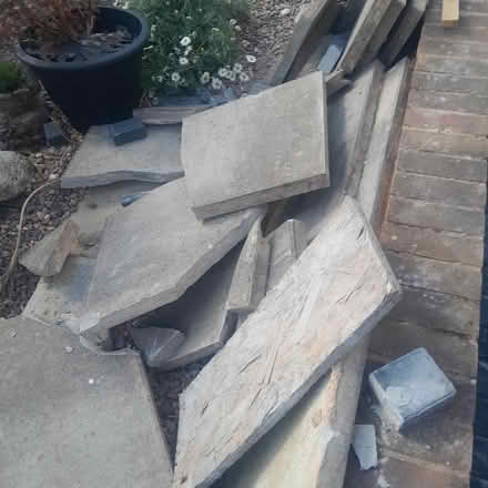 Photo of free flags (Wythenshawe M22) #4