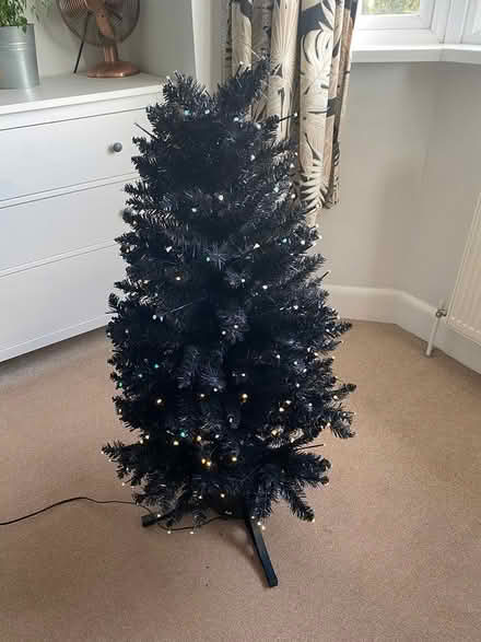 Photo of free Fibre Optic Christmas Tree (Privett PO12) #4