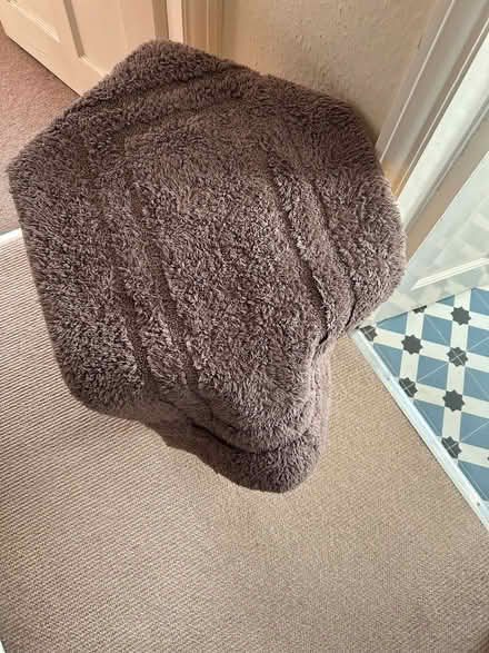Photo of free Bath mat (Windermere LA23) #1