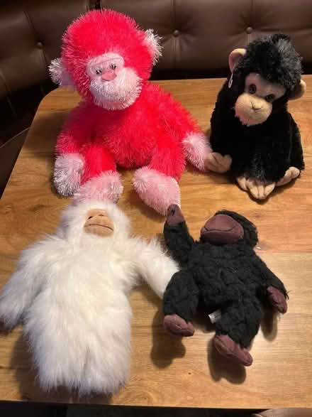 Photo of free Stuffed animal monkeys (Niles) #1
