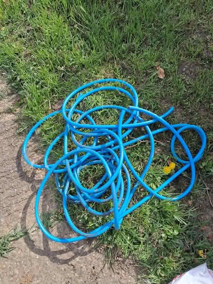 Photo of free various garden stuff (West Haywards heath) #2