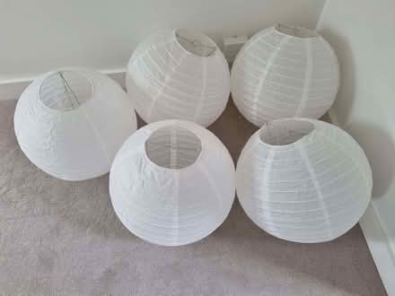 Photo of free Paper lampshades (Lion Gate TW9) #1