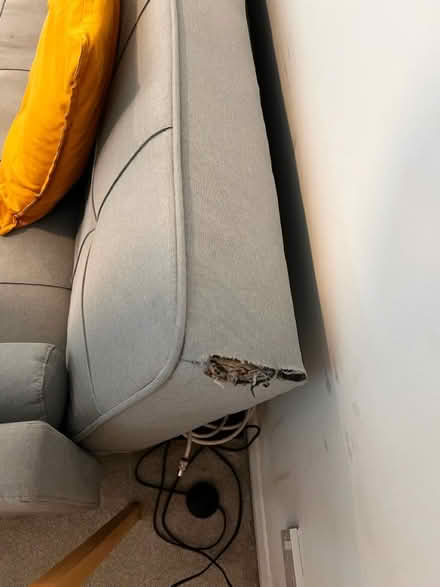 Photo of free Sofabed (SW17) #4