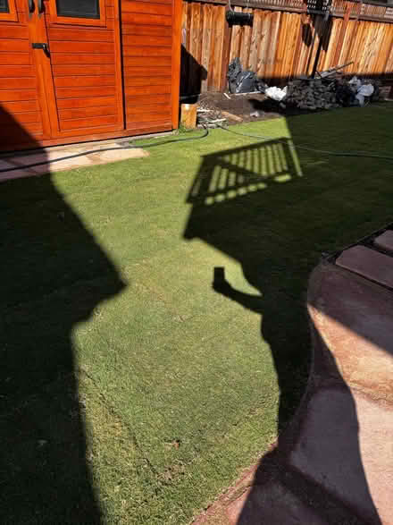 Photo of free Extra sod rolls (Mountain View Shoreline West) #3