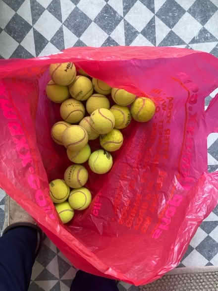 Photo of free Tennis balls (TN34) #1