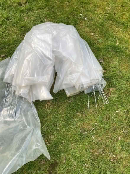Photo of free Polytunnel fold up (Ramsgate CT11) #1