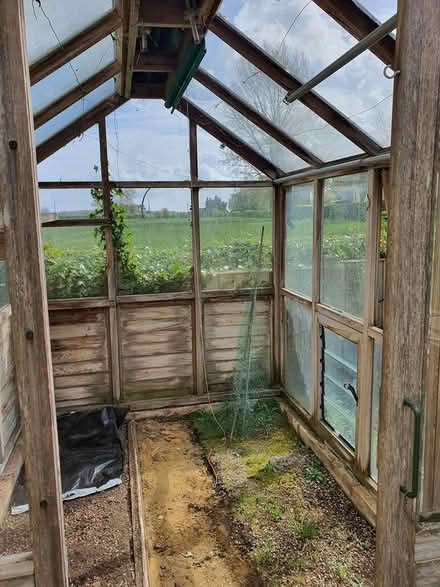 Photo of free 6×8 cedar greenhouse (Mundon essex cm9 6nn) #1