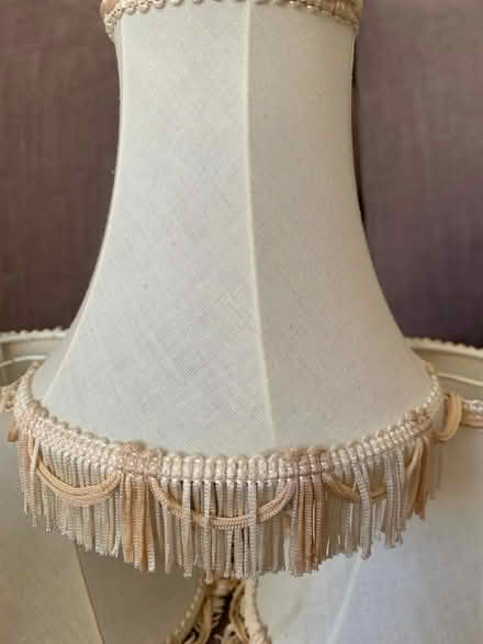 Photo of free Four Retro Wall Lampshades (Baslow DE45) #2