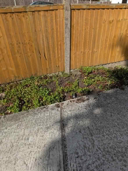 Photo of free Garden Top Soil (Wollaton Park NG8) #2