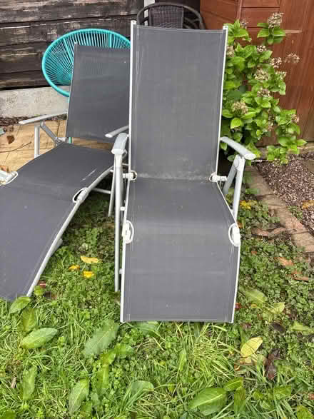 Photo of free Sun loungers (M23 Northern Moor) #1