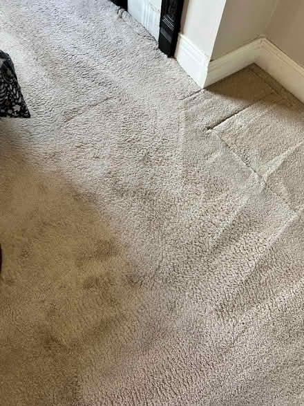 Photo of free Carpet and underlay with grip rods (Low Fell NE9) #3