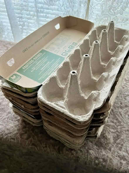 Photo of free Egg cartons (Almaden Valley) #1