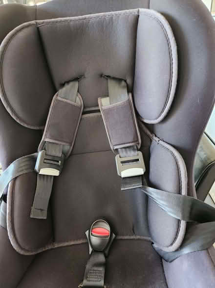 Photo of free Car seat (Northop Hall CH7) #2
