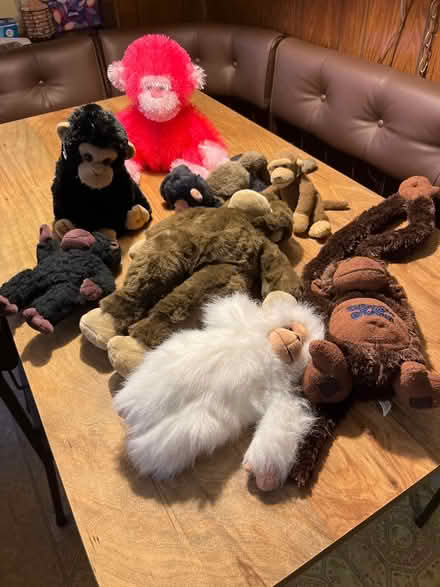 Photo of free Stuffed animal monkeys (Niles) #2