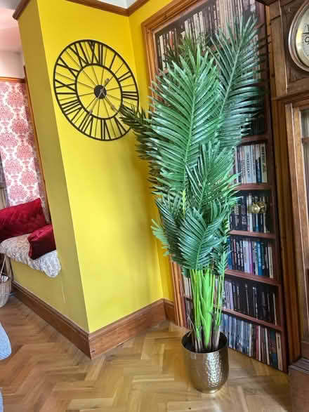 Photo of free Artificial plant (Salisbury, SP2) #1