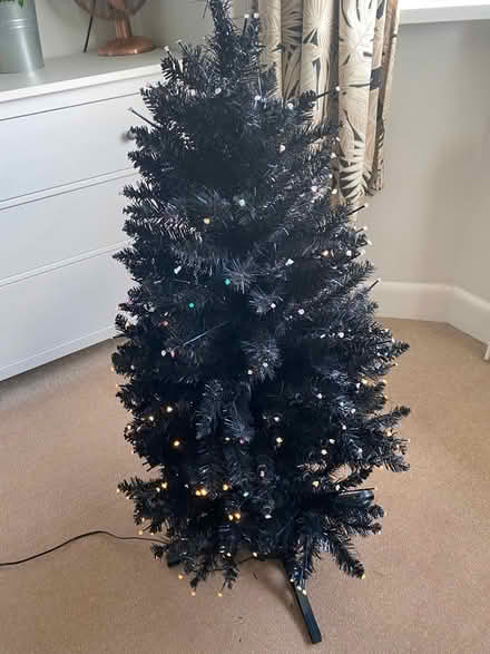 Photo of free Fibre Optic Christmas Tree (Privett PO12) #2
