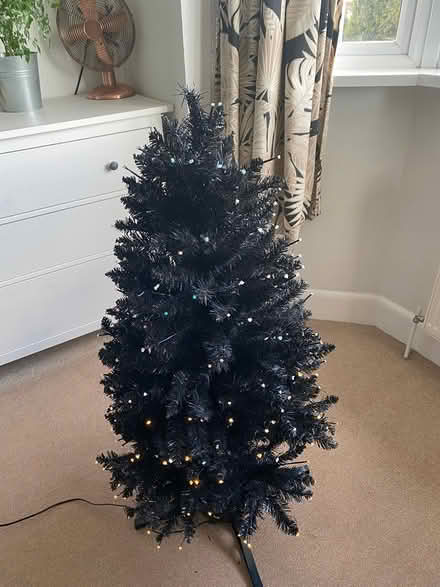 Photo of free Fibre Optic Christmas Tree (Privett PO12) #3