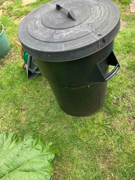 Photo of free Dustbin and lid (Marshalswick AL4) #1