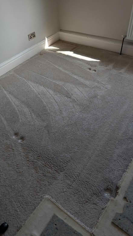 Photo of free Carpet and underlay with grip rods (Low Fell NE9) #1